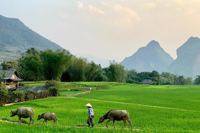 Sa Pa Trekking 2 Days 3 Nights Homestay by Night Train - Day 1 in Hanoi: station logistics and a fast reset