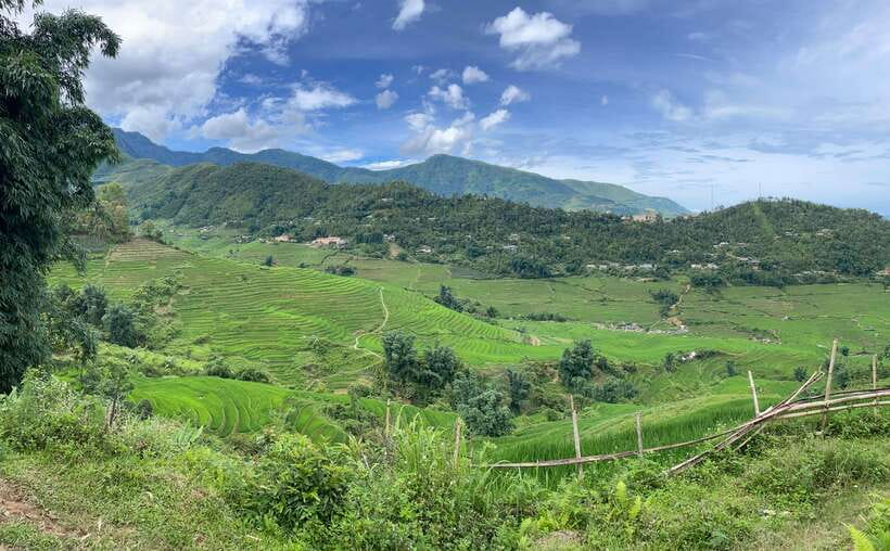 Sapa: 1-Day Trek to Mountain, Local Villages & Rice Terraces - Bamboo forests and downhill sections: where the trail gets real