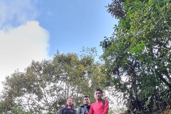 Sapa 1 day trek with local guide to the village by Comlam - The Rice Fields and Bamboo Forest Stretch: What the Trail Actually Feels Like