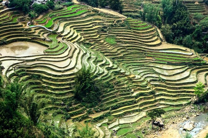 Sapa 1 Day Trekking - Giang Ta Chai Village: more time on foot, more chances to understand the hill tribes