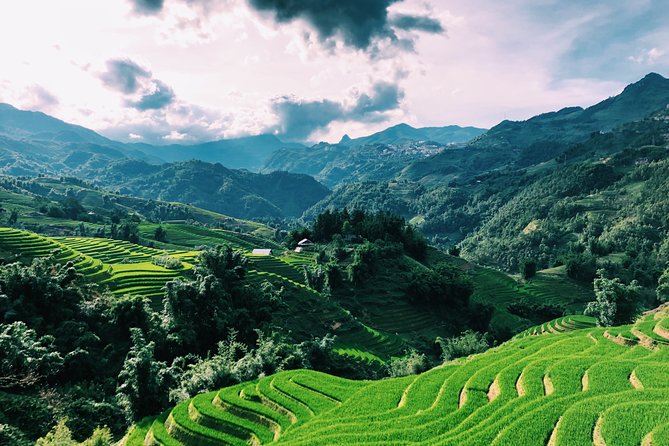 Sapa 2-Day Trek & Homestay in Ta Van Village – Be a Local - The Trek Path: From Y Linh Ho to Ta Van (Day 1)