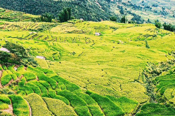 Sapa 2-Day Trek & Homestay in Ta Van Village – Be a Local - Day 2 Trek: Giang Ta Chai, Bamboo Forest, and Su Pan