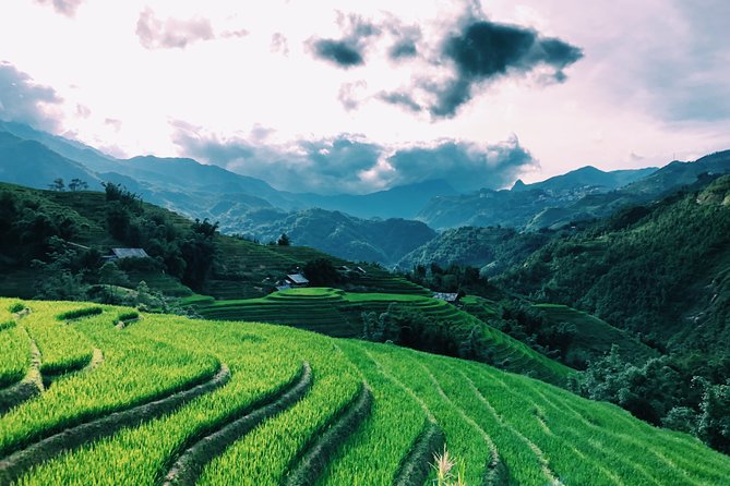 Sapa 2-Day Trek & Homestay in Ta Van Village – Be a Local - Guides, Pace, and How to Get the Most Out of It