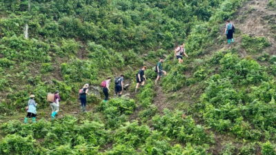 Sapa 2-Day Trekking Tour – Explore Villages & Scenic Trails - Picking between Tả Van and Hầu Thào without second-guessing