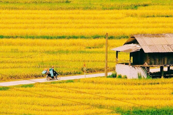 Sapa 2 Days 1 Night Overnight at Homestay Ta Van Village - Day 2 Giang Ta Chai Trek: Bamboo Forest Steps and Rice Paddy Views
