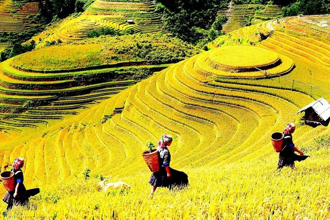 Sapa 2 Days Trek with 1 Night Homestay - Key points before you go