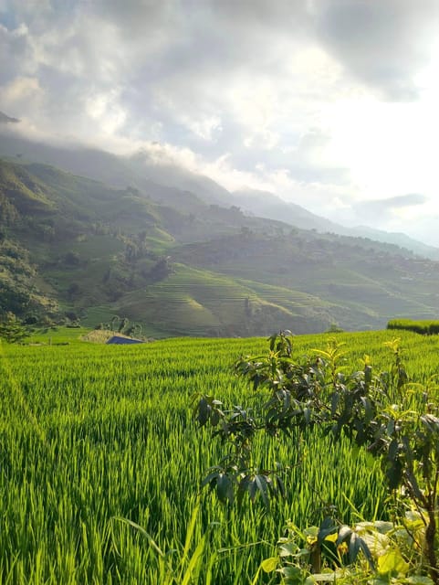 SAPA: 2 DAYS Walking & 1 night at Homestay with LOCAL GUIDE - Price and value: is $46 per person a fair deal?