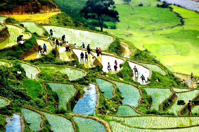 Sapa 2D1N All Included (Bus & Homestay) - Day 1 in Muong Hoa Valley: walking between villages, not just seeing them