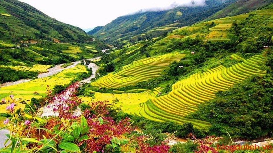 Sapa: 3-Day, 3-Night Trek and Hotel with Overnight Train - Day 3: Red Dzao and H’mong stops, waterfall, rattan bridge, and bamboo forest