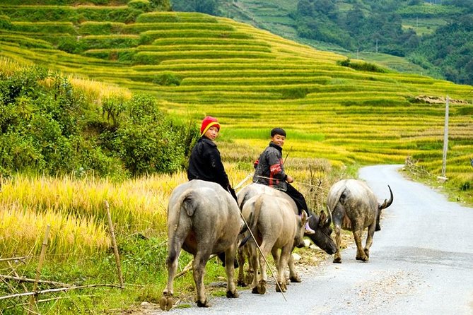 Sapa 3 Days 2 Nights Trekking Tour From Hanoi (2 Nights in Hotel) - Day 3: Sapa morning freedom and the Fansipan cable car option