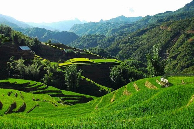 Sapa 3 Days 2 Nights Trekking Tour From Hanoi (2 Nights in Hotel) - Things to watch: weather, fog, and communication hiccups