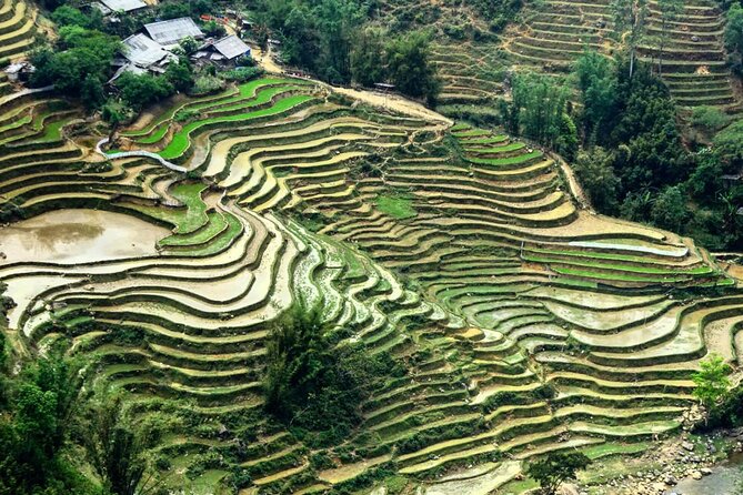 Sapa 3 Days Trek with 2 Nights Homestay - Day 2: Giang Ta Chai, Su Pan, and settling into Ban Ho homestay