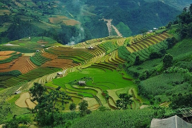 Sapa 3 Days Trekking Tour (1 Night in Bungalow, 1 Night In Hotel) - Day 2: Lao Chai Rice Terraces, Muong Hoa Stream Paths, and the Ta Van Homestay