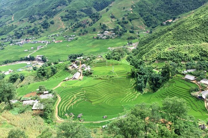 Sapa 3 Days Trekking Tour (1 Night in Bungalow, 1 Night In Hotel) - Day 3: Giang Ta Chai Cooking Morning, Bamboo Forest Trek, and Back to Hanoi