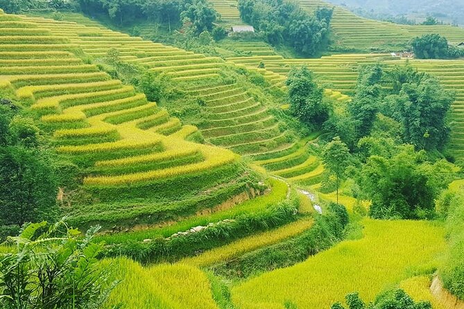 Sapa 3 Days Trekking Tour (1 Night in Bungalow, 1 Night In Hotel) - What You’re Really Paying For at $125 Per Person