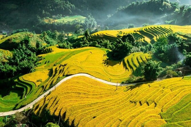 Sapa Adventure Motorbike Tour With Local Guide - Who should book this (and who might want a different day)