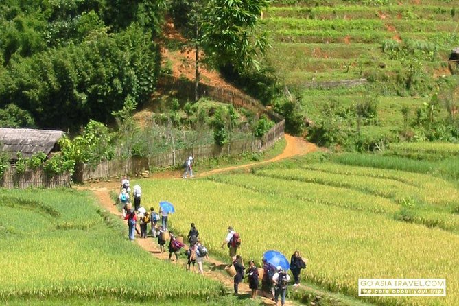Sapa - Bac Ha Trek Tour - Night Train & Bus & Homestay overnight - Day 1: Cat Cat, Lao Chai trails, and finishing at Ta Van homestay