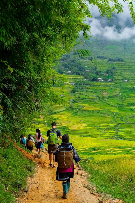 Sapa beautiful rice field, village - Easy walking kid,senior - A guide makes the culture click