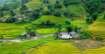 Sapa beautiful rice field, village - Easy walking kid,senior - Key highlights to know before you go