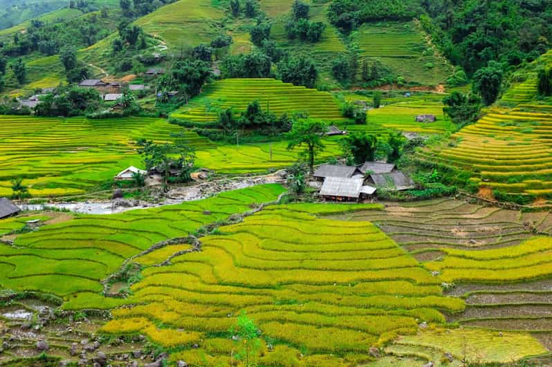 Sapa beautiful rice field, village - Easy walking kid,senior - Lunch break: local food with a view