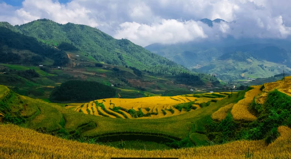 Sapa beautiful rice field, village - Easy walking kid,senior - Price and value: is $69 worth it?