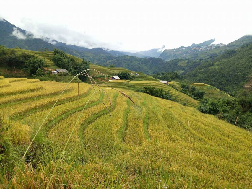 Sapa Bike Tour to Muong Hoa Valley and Local Life Experience - Key highlights worth aiming for
