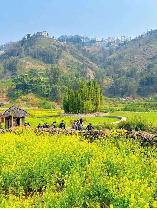 Sapa Cat Cat Village And Y Linh Ho Private Trekking Tour - Key Highlights I’d Put on Your Radar