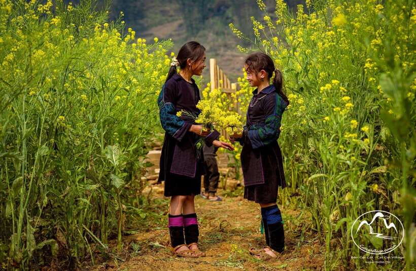 Sapa Cat Cat Village And Y Linh Ho Private Trekking Tour - From Hotel Pickup to Cat Cat Village: Where the Story Starts