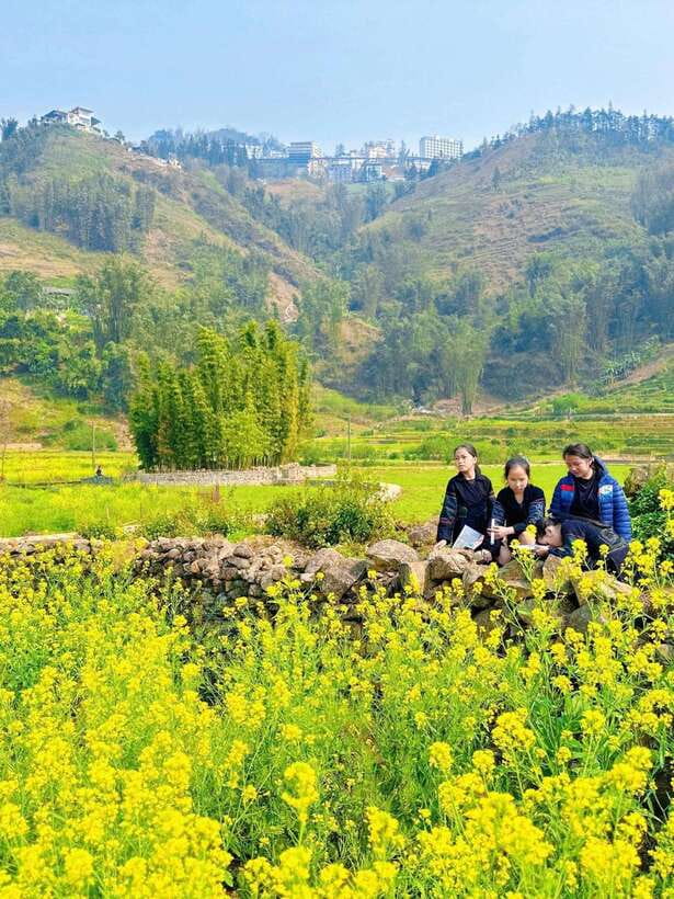 Sapa Cat Cat Village And Y Linh Ho Private Trekking Tour - Y Linh Ho: The Mountain Pass Moment You’ll Remember