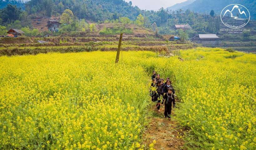 Sapa Cat Cat Village And Y Linh Ho Private Trekking Tour - When Weather Turns: How the Guide Helps You Keep Going