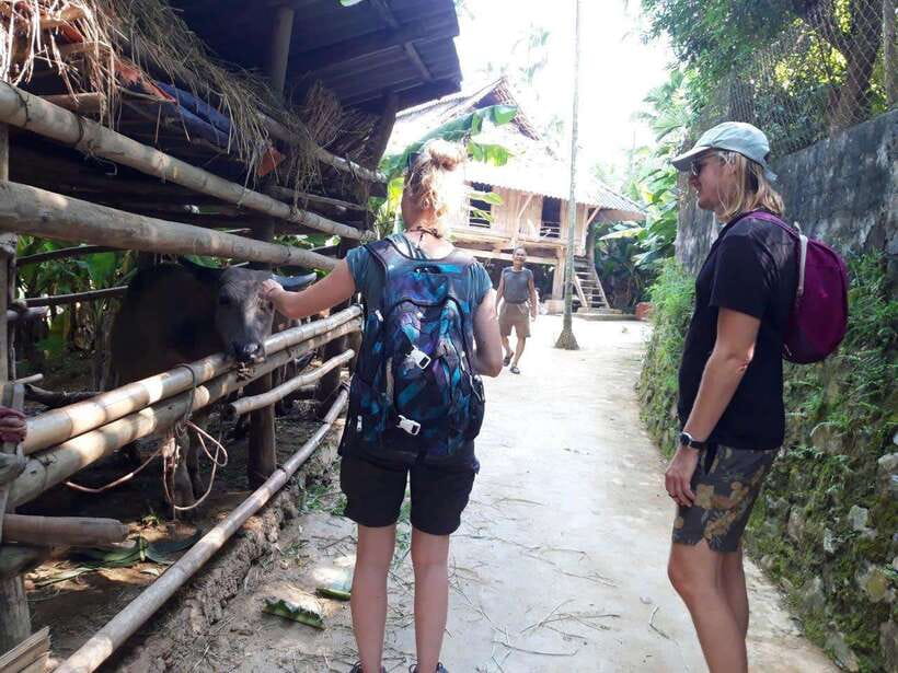 Sapa Cat Cat Village And Y Linh Ho Private Trekking Tour - What’s Included (and How That Affects Value)