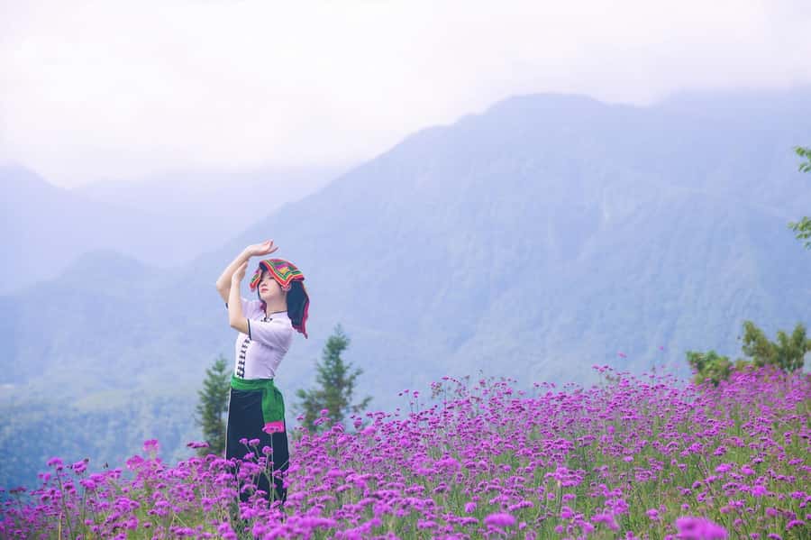 Sapa: Cat Cat Village, Moana, Alpine Coaster, Fansipan Cable - Should You Book This Tour?