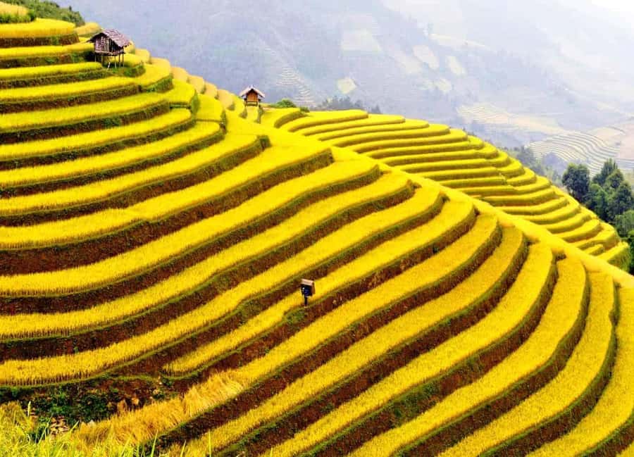 Sapa: Cat Cat Village, Moana, Alpine Coaster, Fansipan Cable - FAQ