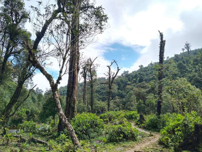 SAPA : Climb up to Fansipan mountain with LOCAL GUIDE - Why This One-Day Fansipan Climb From Sapa Feels Different