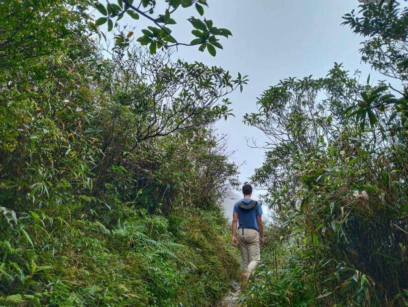 SAPA : Climb up to Fansipan mountain with LOCAL GUIDE - The Trek Itself: 7–9 Hours, Forest Changes, and Cardamom Clues