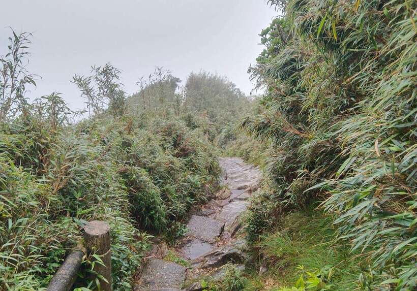 SAPA : Climb up to Fansipan mountain with LOCAL GUIDE - What’s Included for $72: Where the Value Actually Shows