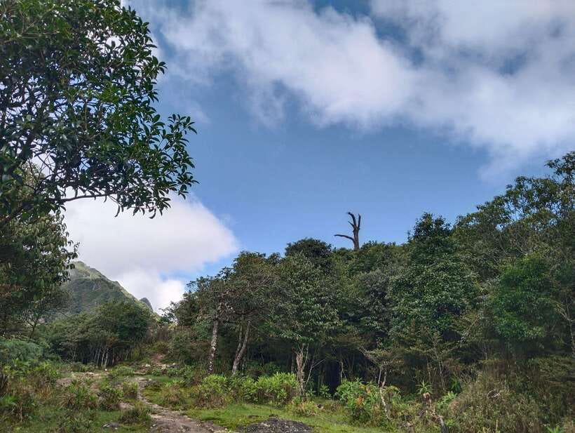SAPA : Climb up to Fansipan mountain with LOCAL GUIDE - Who This Trek Fits Best (And Who Should Think Twice)