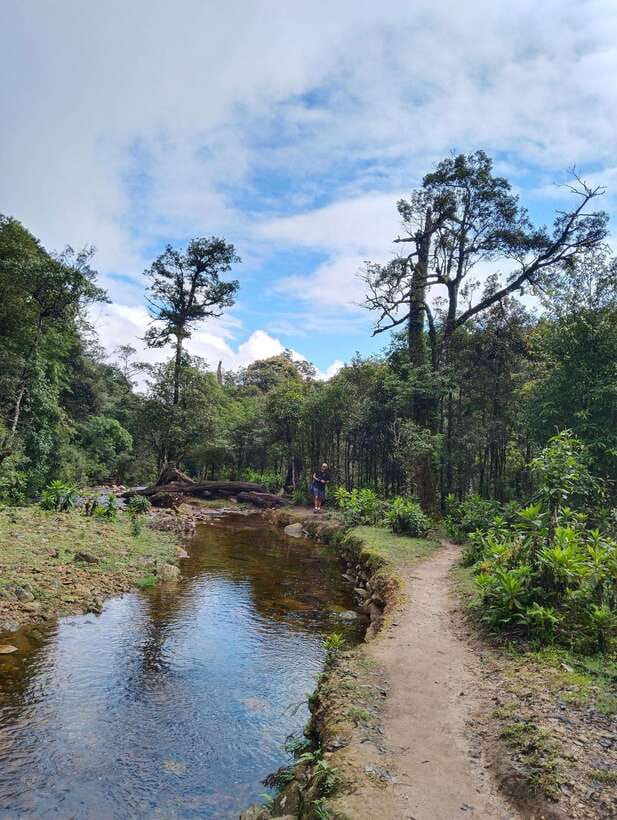 SAPA : Climb up to Fansipan mountain with LOCAL GUIDE - Should You Book This Fansipan Summit Trek With a Local Guide?