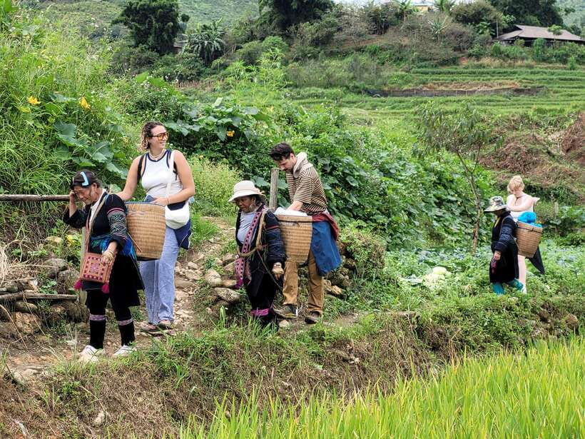 Sapa: Discover the Secrets of the Red Dao: A Healing Journey - Sapa’s Walking Day: How the Route Shapes the Experience