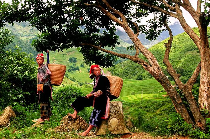 Sapa Easy Trekking Tour 1 Day - Rice Paddies and Cultures - Meeting at Sapa Church and starting smart at 9:00am