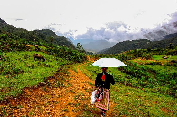 Sapa Easy Trekking Tour 1 Day - Rice Paddies and Cultures - Ta Phin cave: a worthwhile stop, but plan for the walk