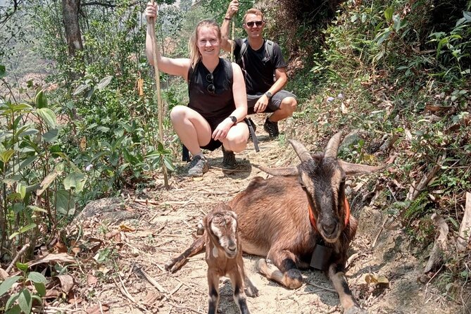 Sapa Half Day Local Farming Experience - Who this tour fits best (and who should pick something else)