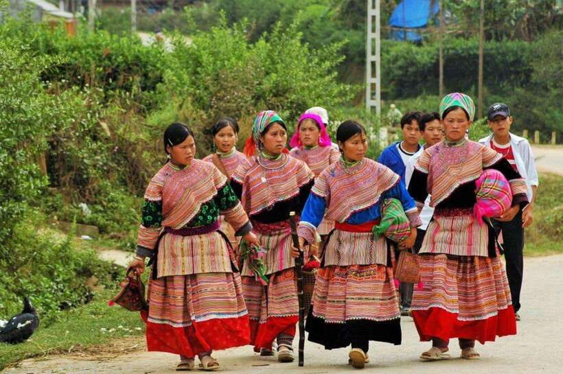 Sapa: Half Day Treck To Visit Y Linh Ho , Lao Chai, Ta Van - Y Linh Ho, Lao Chai, Ta Van: Terrace Fields on a Working Route