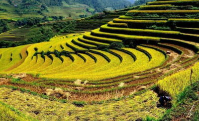 Sapa: Half Day Treck To Visit Y Linh Ho , Lao Chai, Ta Van - Hotel Pickup to Sa Pa Town: Getting Your Bearings Fast