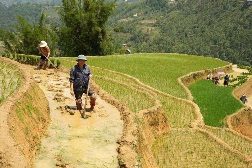 Sapa: Half Day Treck To Visit Y Linh Ho , Lao Chai, Ta Van - Lai Chai Village: Culture You Can Talk With