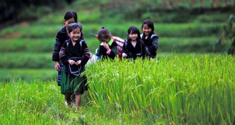 Sapa: Half Day Treck To Visit Y Linh Ho , Lao Chai, Ta Van - Waterfall Pause and the Rhythm Between Villages