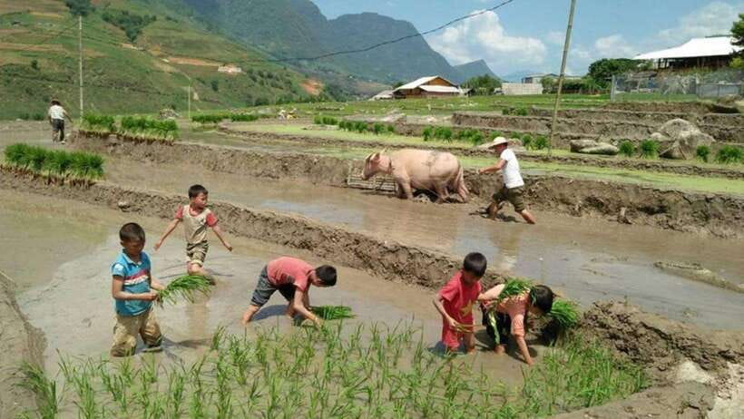 Sapa: Half Day Treck To Visit Y Linh Ho , Lao Chai, Ta Van - Lunch at a Local Restaurant: Fuel Without the Tourist Trap