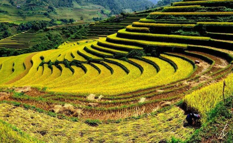 Sapa: Half Day Treck To Visit Y Linh Ho , Lao Chai, Ta Van - Hotel Pickup to Sa Pa Town: Getting Your Bearings Fast