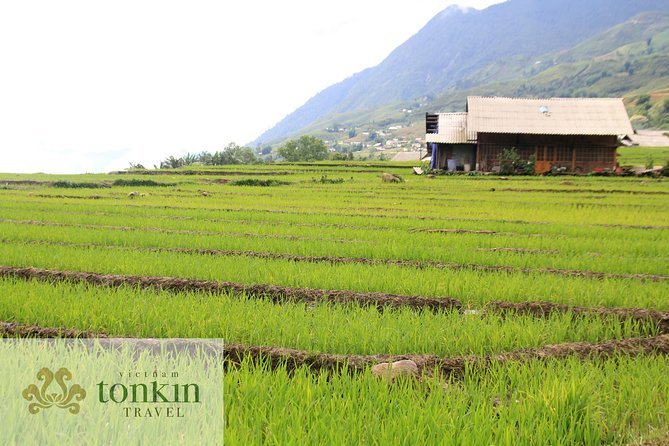Sapa hard trekking villages homestay 3days/ 2nights tour - amazing culture - Day 1: Ta Van, Lao Chai, and a Giay Family Welcome