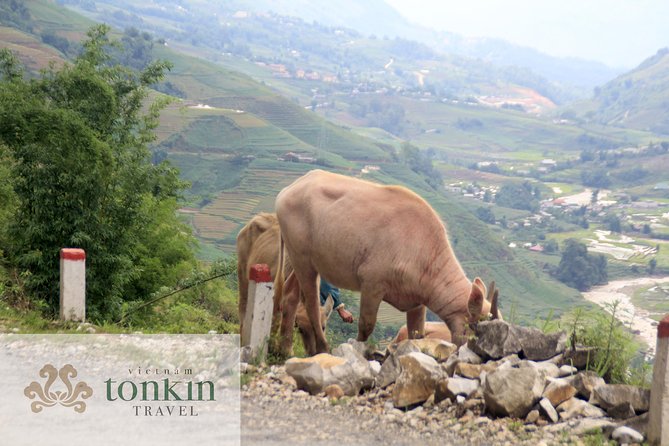 Sapa hard trekking villages homestay 3days/ 2nights tour - amazing culture - Day 3: Nam Toong (Red Dao) River Walk, Waterfall Time, and Back to Sapa